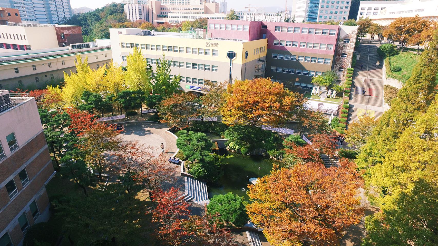 Đại học Kyungsung - Học chuyên ngành bằng 100% tiếng Anh - Zila Education