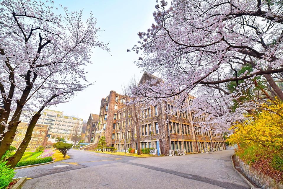 2021] Trường Đại học Yonsei Hàn Quốc 연세대학교 (SKY Hàn Quốc)