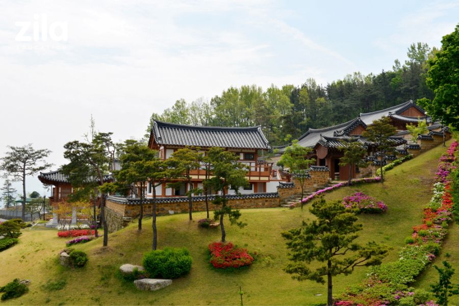 Đại học Daegu Hanny Hàn Quốc 